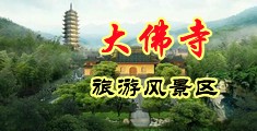 少妇插骚B中国浙江-新昌大佛寺旅游风景区